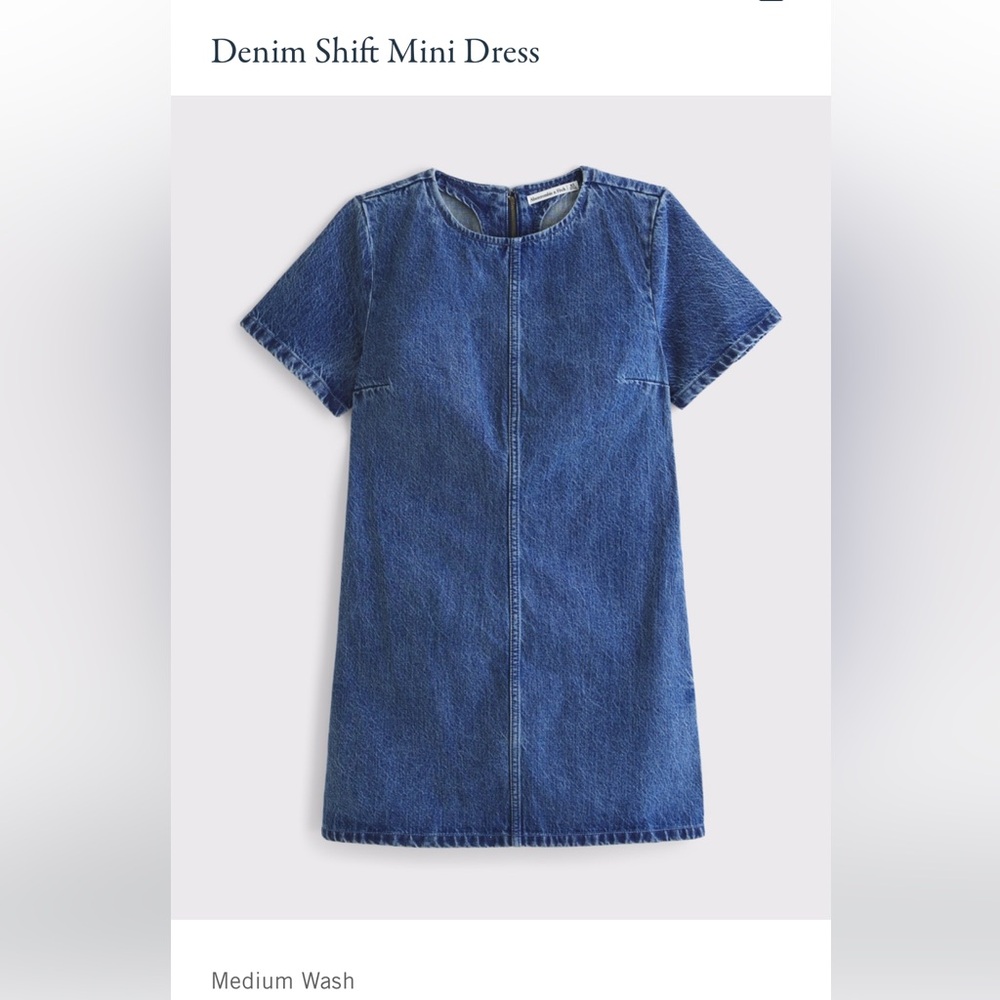 Abercrombie & Fitch - Women's Denim Shift Mini Dress